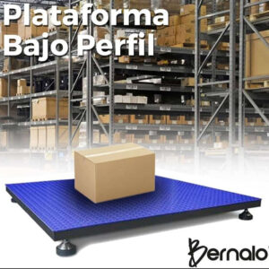 Báscula Electrónica De Piso 1mx1m